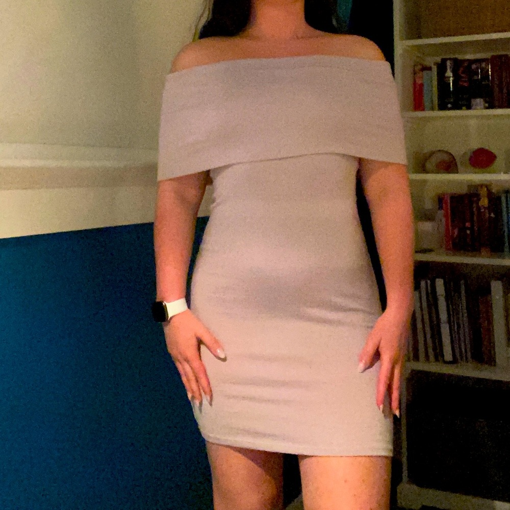 Aritzia Wilfred free dress